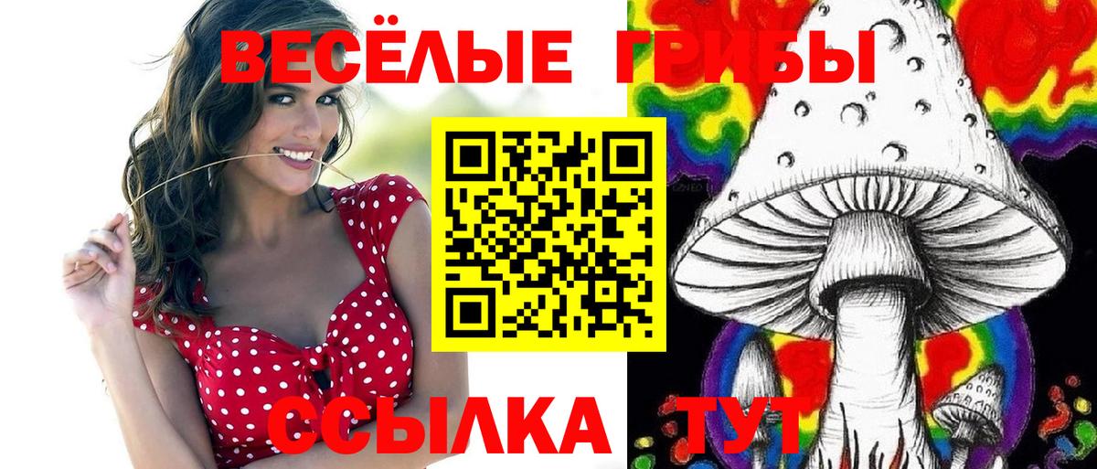 Галлюциногенные грибы Magic Shrooms  Вход с VPN  Миллерово 