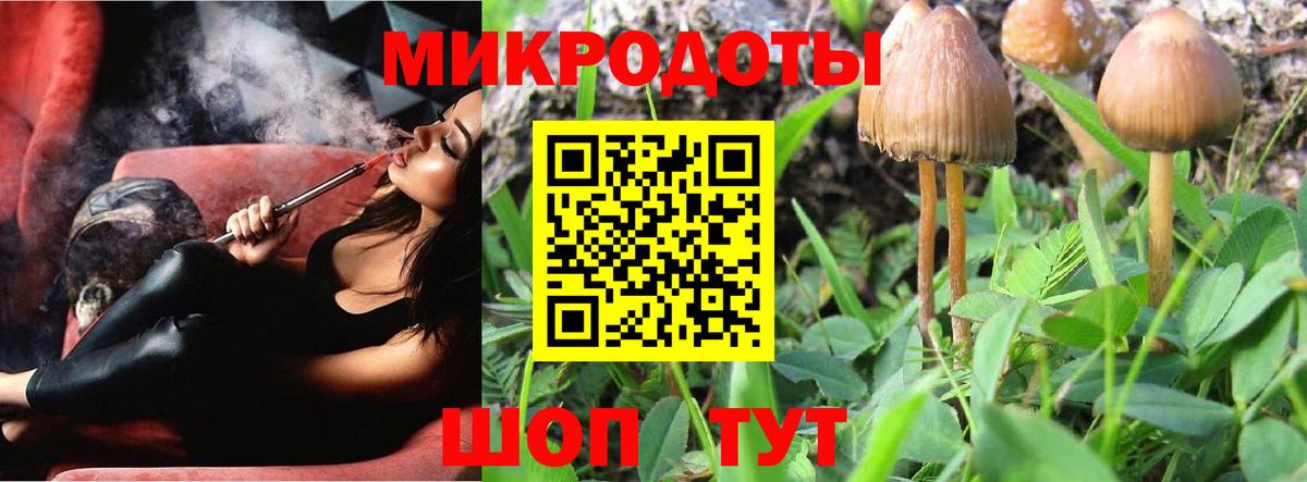 Псилоцибиновые грибы GOLDEN TEACHER Миллерово